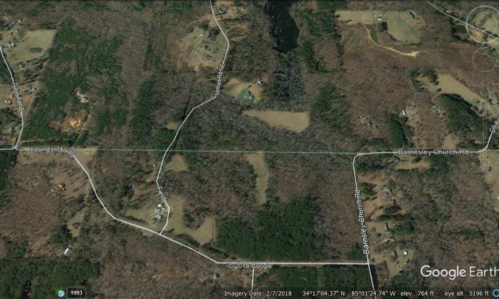 The Mathis Farm Absolute Auction Dempsey Auction Company