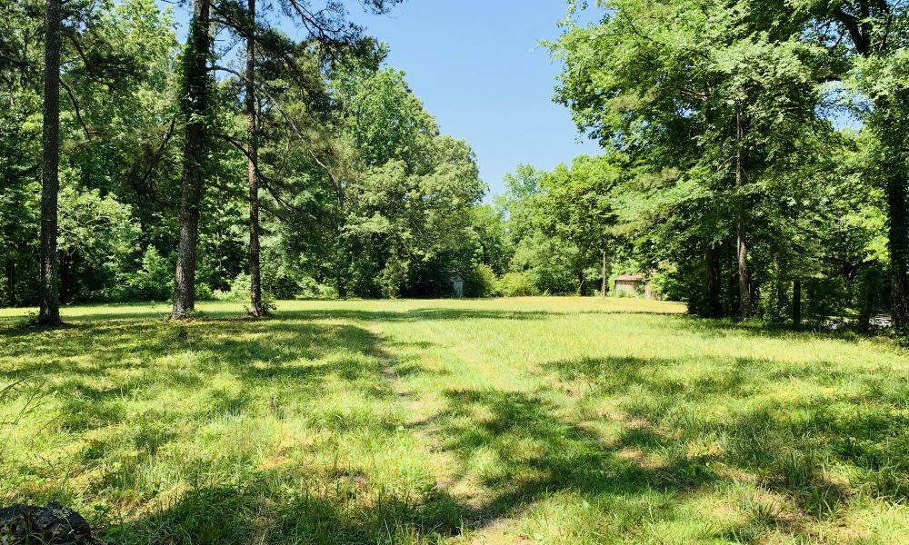 The Mathis Farm Absolute Auction Dempsey Auction Company