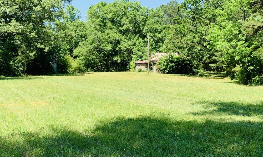 The Mathis Farm Absolute Auction Dempsey Auction Company