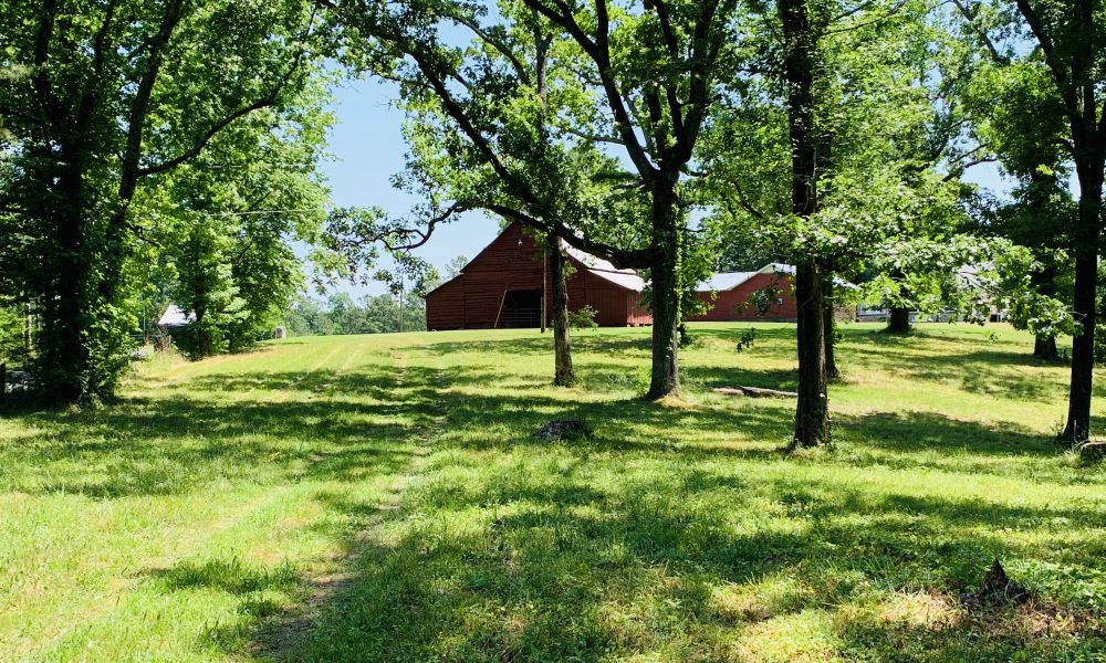 The Mathis Farm Absolute Auction Dempsey Auction Company