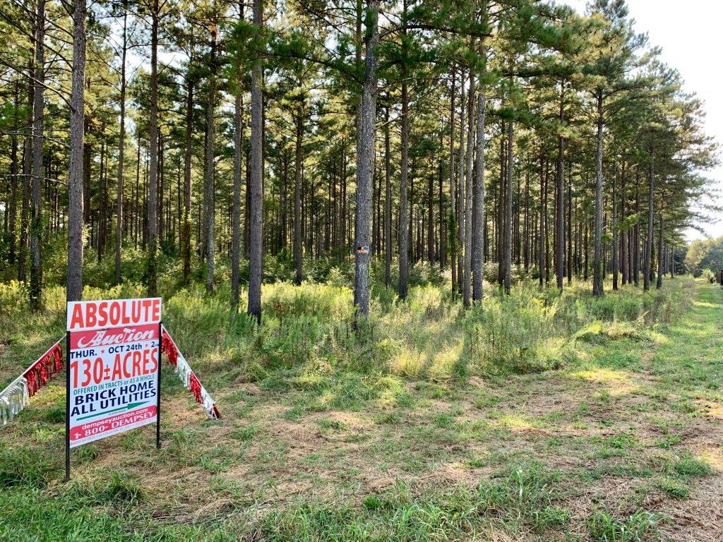 Photo of court-ordered-absolute-estate-auction-in-cedartown