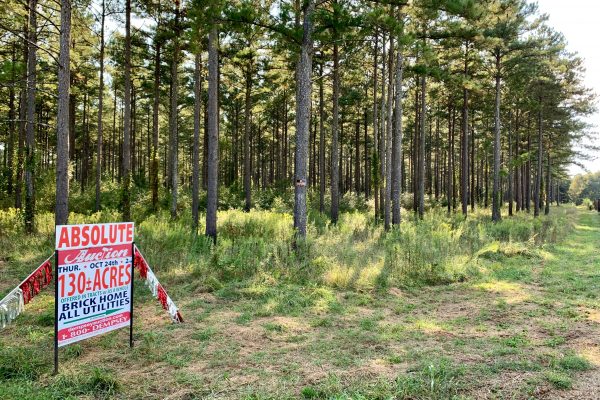 Photo of court-ordered-absolute-estate-auction-in-cedartown