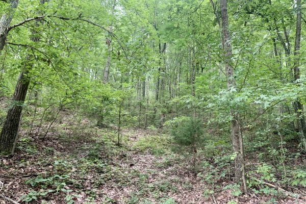 Photo of 6-23-acres-located-on-booger-hollow-road