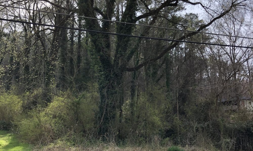 Photo of Offering: .21+/- acres on Residential Lot located @ 5 Blacks Bluff Rd, Rome, GA (I14Z219):