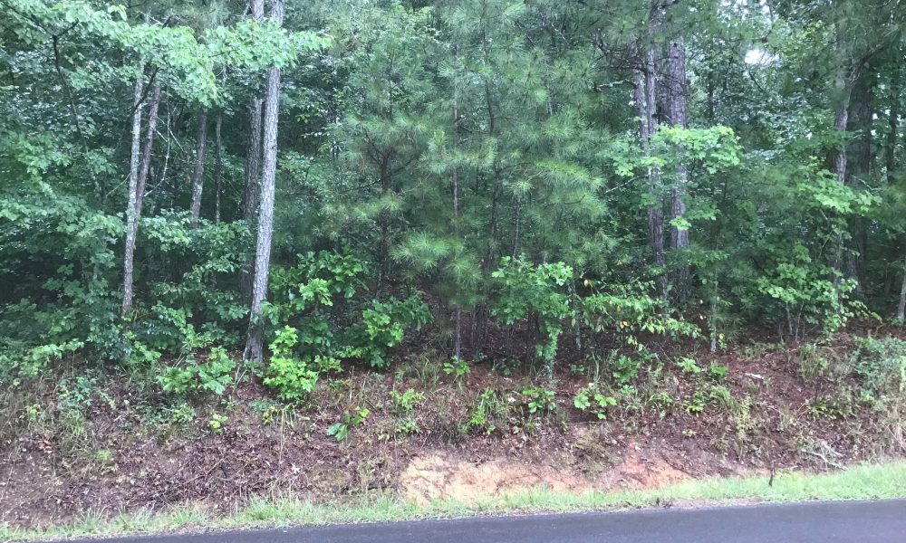 Photo of Offering: 2+/- acre Residential Lot located on Moran Lake Rd, Rome, GA (L13Y172) 