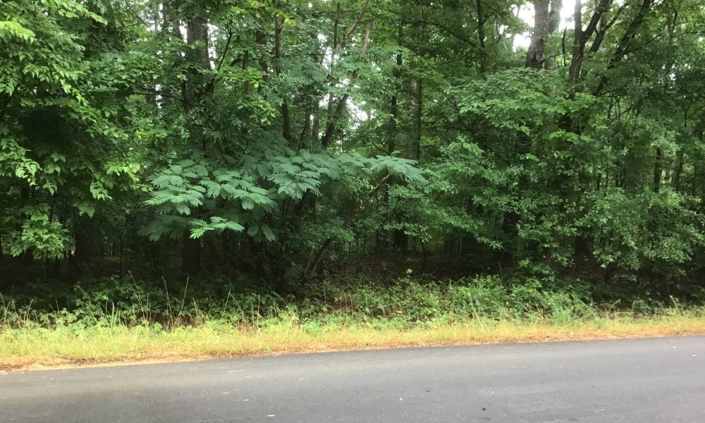 Photo of Offering: Residential Lot located on Wilkerson Rd, Rome, GA (H13P033)