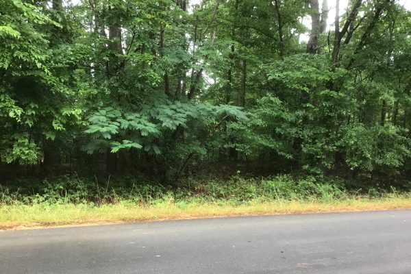 Photo of Offering: Residential Lot located on Wilkerson Rd, Rome, GA (H13P033)