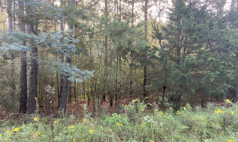 Photo of Large Lot located at 60 Garrard Rd, Rome, GA (L14W177)  