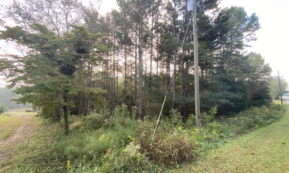Photo of Large Lot located at 60 Garrard Rd, Rome, GA (L14W177)  