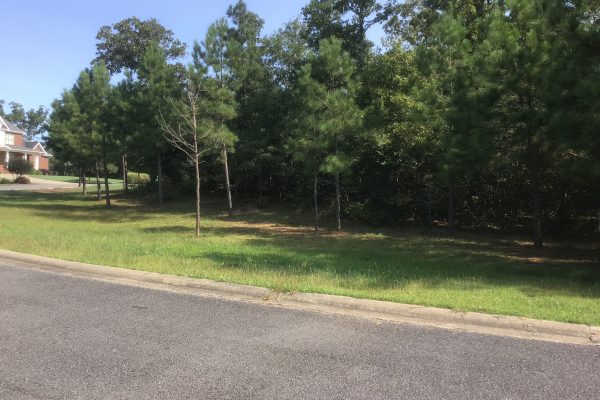 Photo of SALE #5 - RAINTREE SUBDIVISION – 9 LOTS SELLING ABSOLUTE