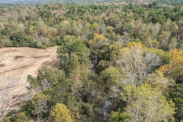 Photo of 54-ac-chattooga-co-auction
