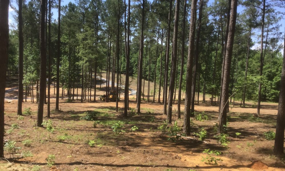 Photo of (3) Recreational Lots located in 