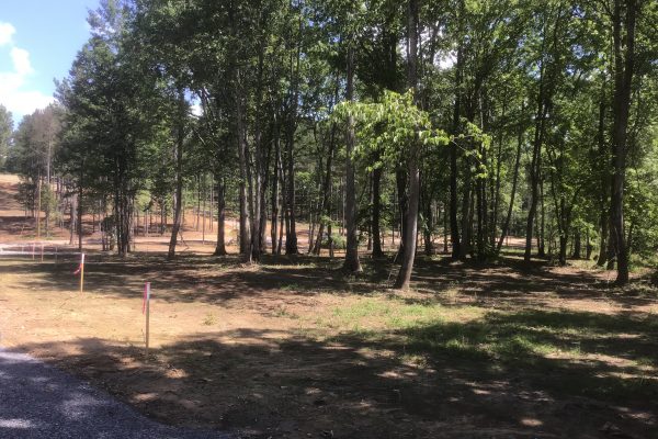 Photo of 45-recreational-lots-on-weiss-lake-centre-al-auction