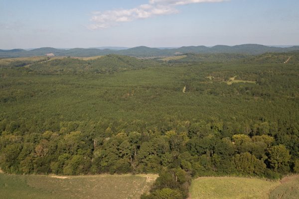 Photo of 45-ac-on-chattooga-river-gaylesville-cherokee-co-al-auction