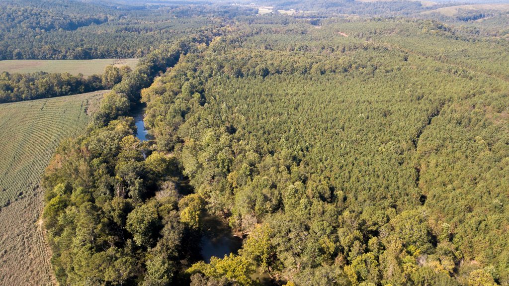 Photo of 45-ac-on-chattooga-river-gaylesville-cherokee-co-al-auction
