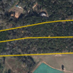 20 ac w/ Coosa River Frontage, 3 Building Lots, Commercial Tract Floyd Co, GA Auction