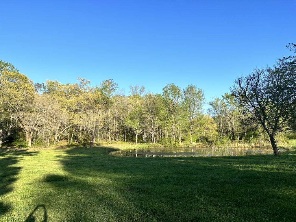 Photo of home-on-21%c2%b1-acres-cave-spring-floyd-co-ga-auction