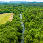 80± Acres on Terrapin Creek Piedmont, Cherokee Co, AL Absolute Estate Auction