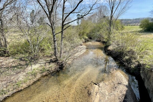Photo of 72%c2%b1-acres-on-chickamauga-creek-rock-springs-walker-co-ga-auction