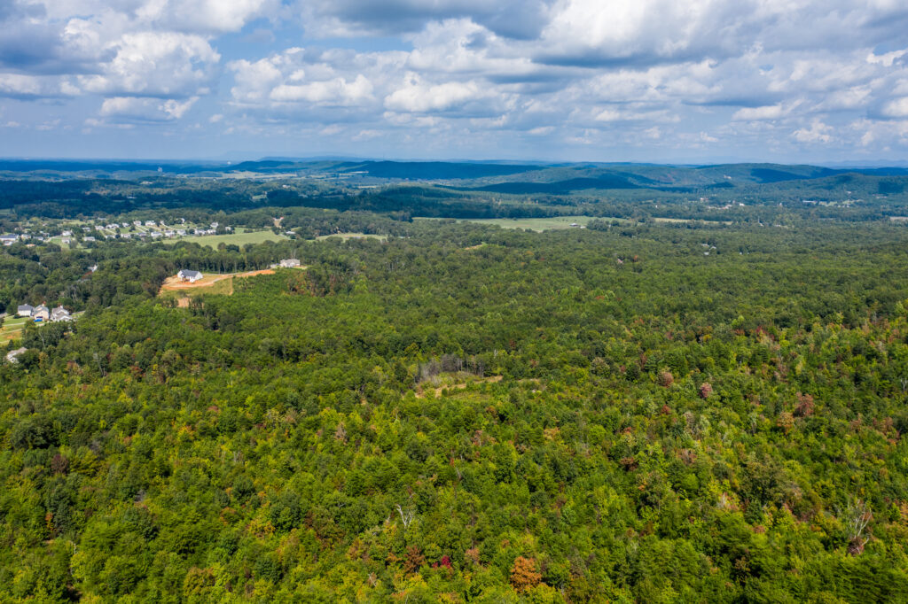 Photo of 309%c2%b1-acres-of-prime-real-estate-rydal-community-bartow-co-ga-auction