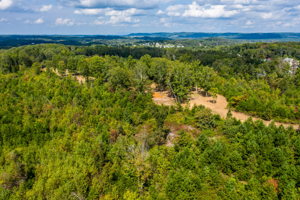 Photo of 309%c2%b1-acres-of-prime-real-estate-rydal-community-bartow-co-ga-auction