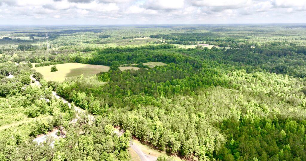 Photo of 155%c2%b1-acres-with-timber-pasture-and-creek-frontage-wetumpka-elmore-co-alabama-auction