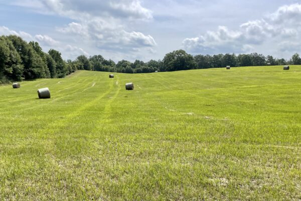 Photo of 155%c2%b1-acres-with-timber-pasture-and-creek-frontage-wetumpka-elmore-co-alabama-auction