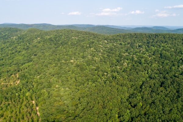 Photo of 470%c2%b1-acres-of-prime-real-estate-with-merchantable-timber-summerville-chattooga-co-ga-auction
