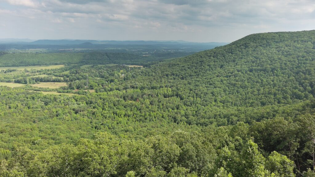 Photo of home-on-east-brow-of-lookout-mountain-mentone-cherokee-co-al-auction