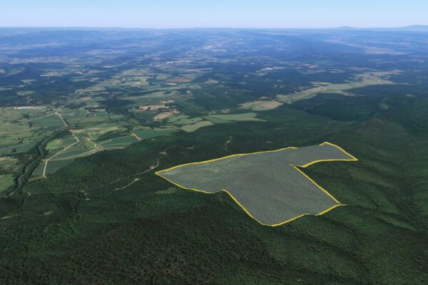 Photo of 470%c2%b1-acres-of-prime-real-estate-with-merchantable-timber-summerville-chattooga-co-ga-auction