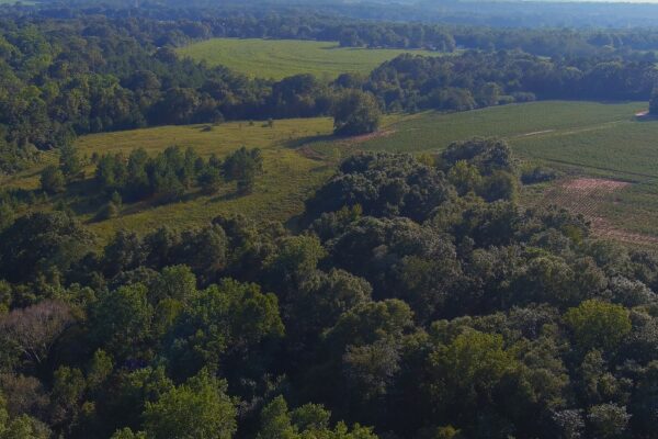Photo of 292%c2%b1-acres-of-beautiful-land-with-creek-frontage-dothan-al-auction