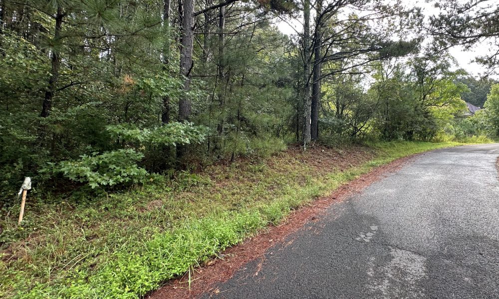 Photo of 14.51 acres (2) Tracts located at 0 Maddox Lake Road (58-24L03 / 58-24TR4) ABSOLUTE