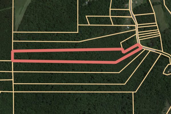 Photo of 14.51 acres (2) Tracts located at 0 Maddox Lake Road (58-24L03 / 58-24TR4) ABSOLUTE