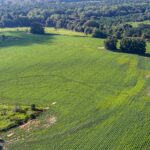 292± acres of Beautiful Land with Creek Frontage Dothan, AL Auction