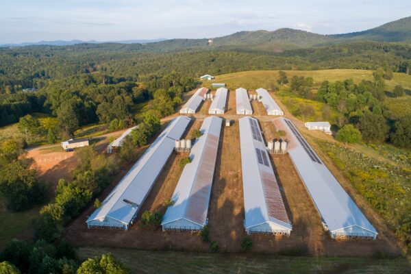 Photo of 19%c2%b1-acres-with-home-and-8-broiler-houses-jasper-pickens-county-ga-online-auction