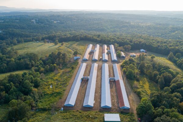 Photo of 19%c2%b1-acres-with-home-and-8-broiler-houses-jasper-pickens-county-ga-online-auction