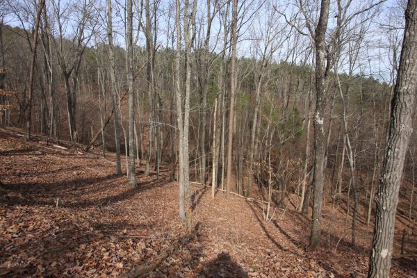 Photo of expansive-129%c2%b1-acres-timber-wildlife-water-coosa-floyd-county-ga-auction