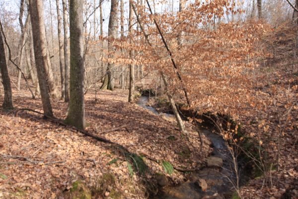 Photo of expansive-129%c2%b1-acres-timber-wildlife-water-coosa-floyd-county-ga-auction