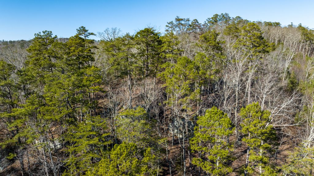 Photo of 95-13-acres-on-the-armuchee-creek-chattooga-county-ga-online-absolute-auction