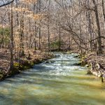 95.13 acres on The Armuchee Creek Chattooga County, Ga Online Absolute Auction