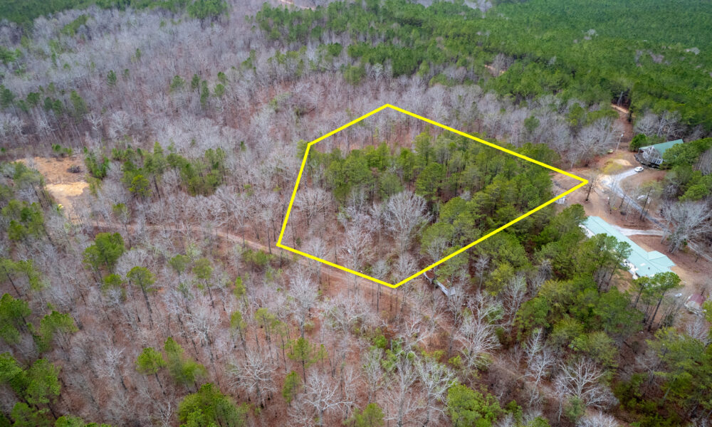 Photo of Large Lot located at 594 BEN MOSLEY CIR SUMMERVILLE, GA 30747 (#0006800000107)