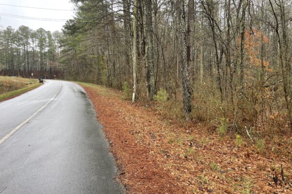 Photo of 98-066-acre-prime-development-opportunity-buchanan-haralson-county-ga-auction