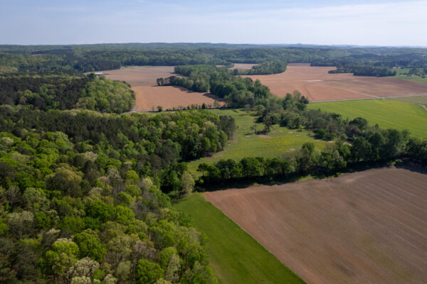 Photo of 162%c2%b1-acre-farm-taylorsville-polk-county-ga-estate-auction