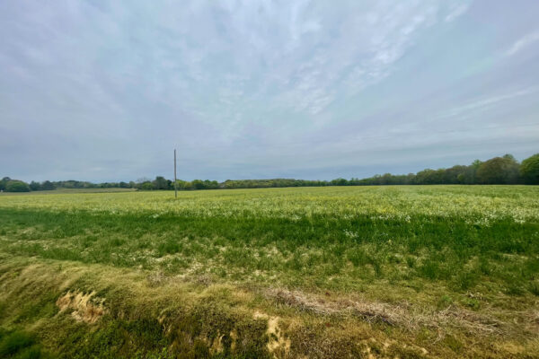 Photo of 162%c2%b1-acre-farm-taylorsville-polk-county-ga-estate-auction