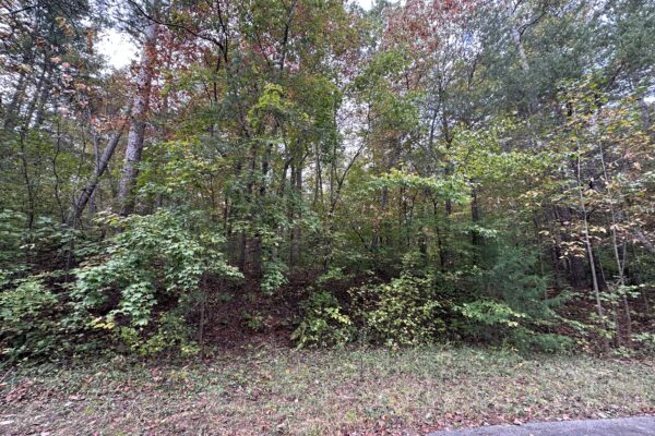 Photo of 25%c2%b1-residential-lots-lake-hartwell-westminster-sc-online-auction