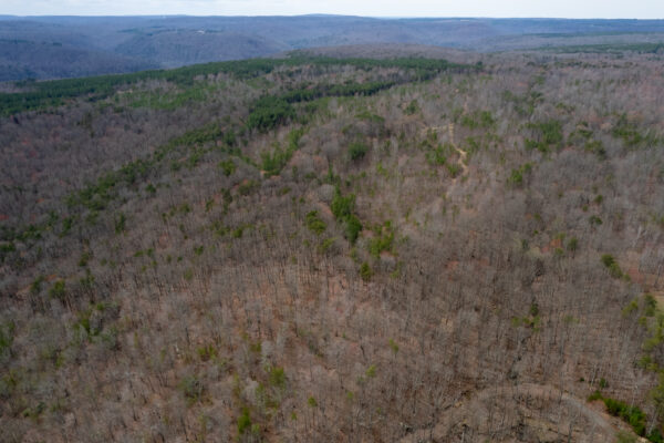 Photo of savage-point-534-acres-dunlap-sequatchie-county-tn-online-absolute-auction