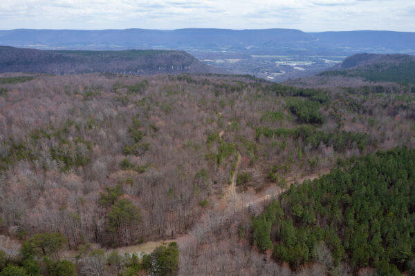 Photo of savage-point-534-acres-dunlap-sequatchie-county-tn-online-absolute-auction