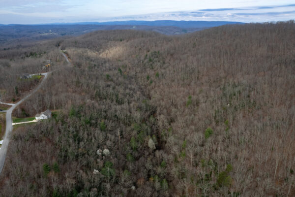 Photo of country-wood-lane-615-acres-with-cell-tower-wartburg-morgan-county-tn-online-absolute-auction