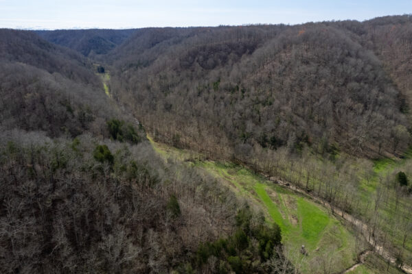 Photo of dry-mill-creek-1157-acres-celina-clay-county-and-livingston-overton-county-tn-online-absolute-auction