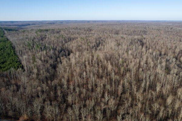 Photo of roan-creek-1530-acres-linden-perry-county-tn-online-absolute-auction